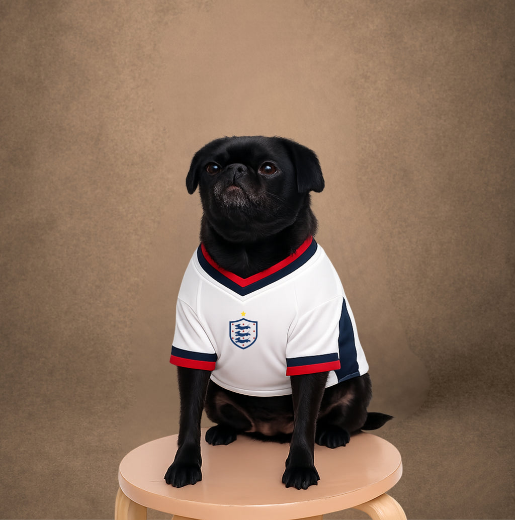CUSTOM DOG FOOTBALL SHIRTS | England | Pre-order