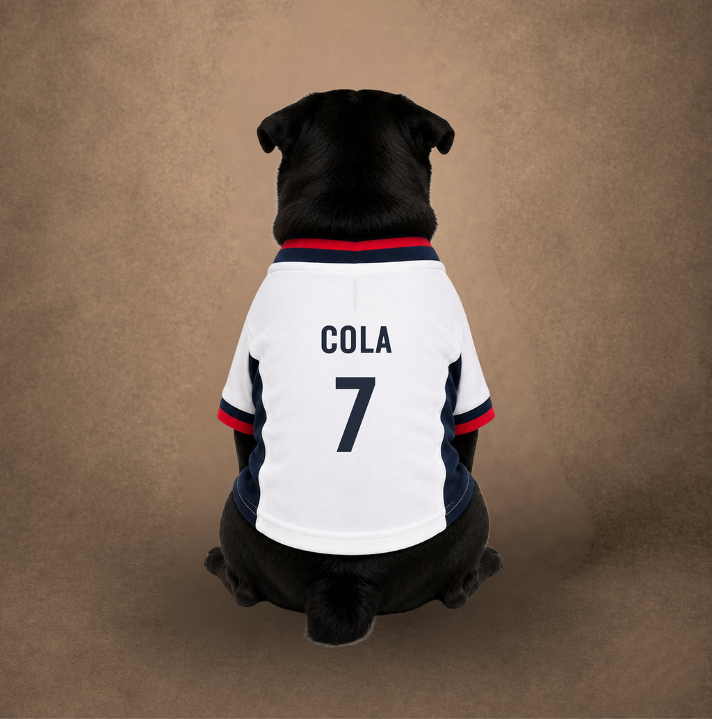 CUSTOM DOG FOOTBALL SHIRTS | England | Pre-order